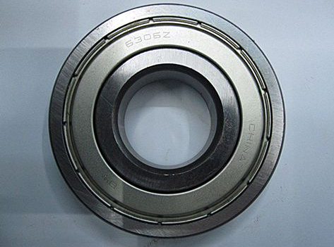 6306 Bearing Free Sample